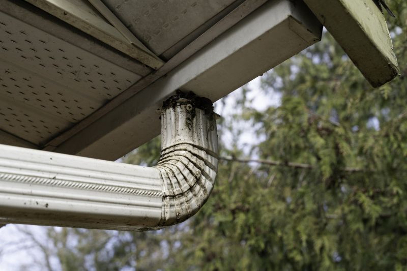 Downspout Snaking in Bergen County, NJ