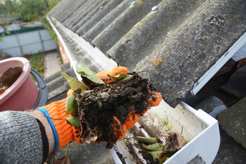Gutter Leaf Clearing in Rochester, NY
