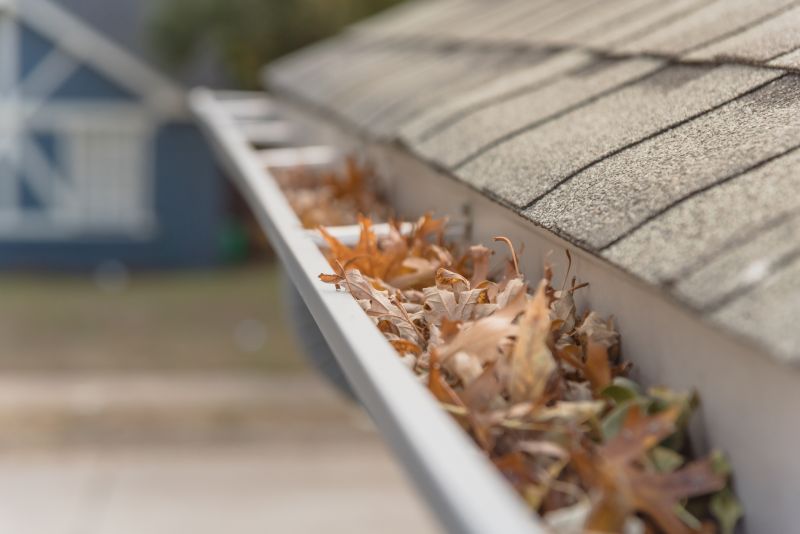 Gutter Leaves Removal in Boulder, CO