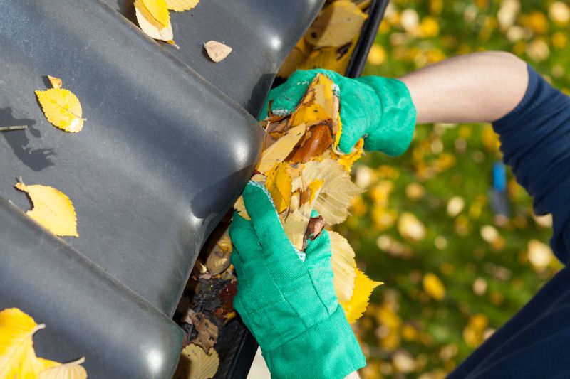 Gutter Leaves Removal in Fredericksburg, VA