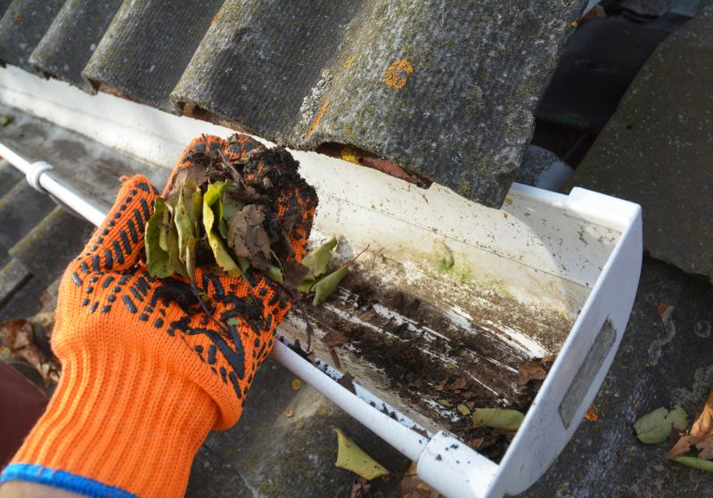 Gutter Maintenance in Rochester, NY