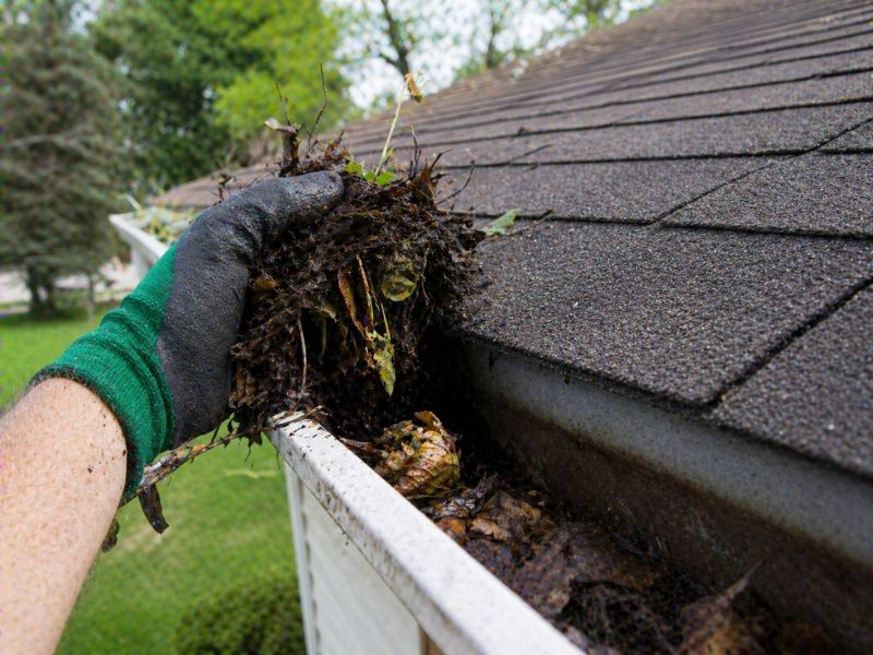Gutter Pine Needle Removal in Annapolis, MD